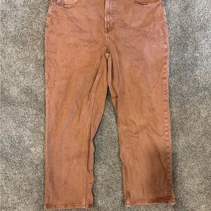 Everlane Terracotta Organic Cotton Pants